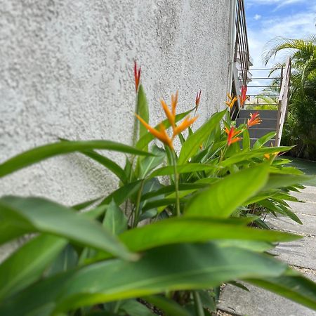 Cosy 2 Bedrooms Apts In Pereybere -Seasons Break Apartment Pereybere Beach Екстер'єр фото